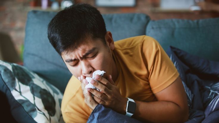 fd1a512de5822dbe009eaff793fd6c8d