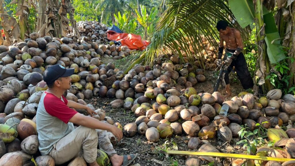 Kelapa