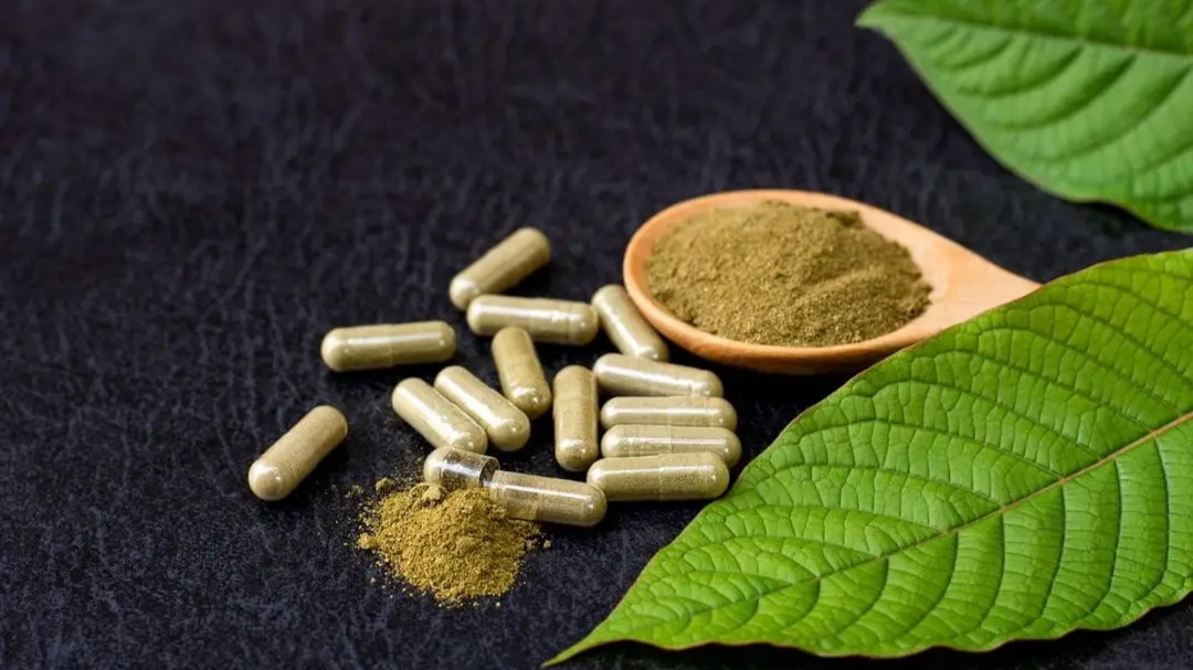 Status legalitas kratom di Indonesia